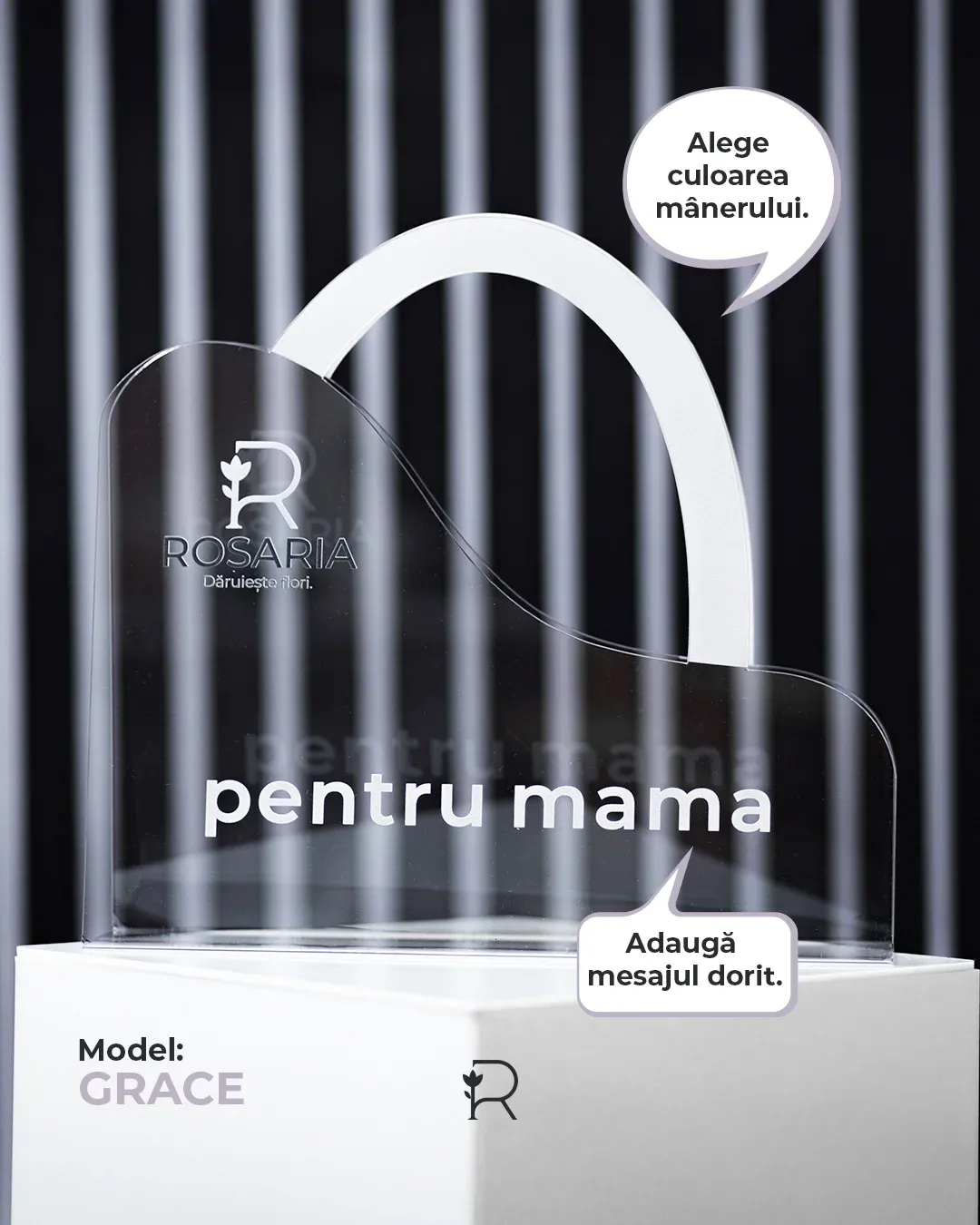 07 pt mam - empty 1b.webp