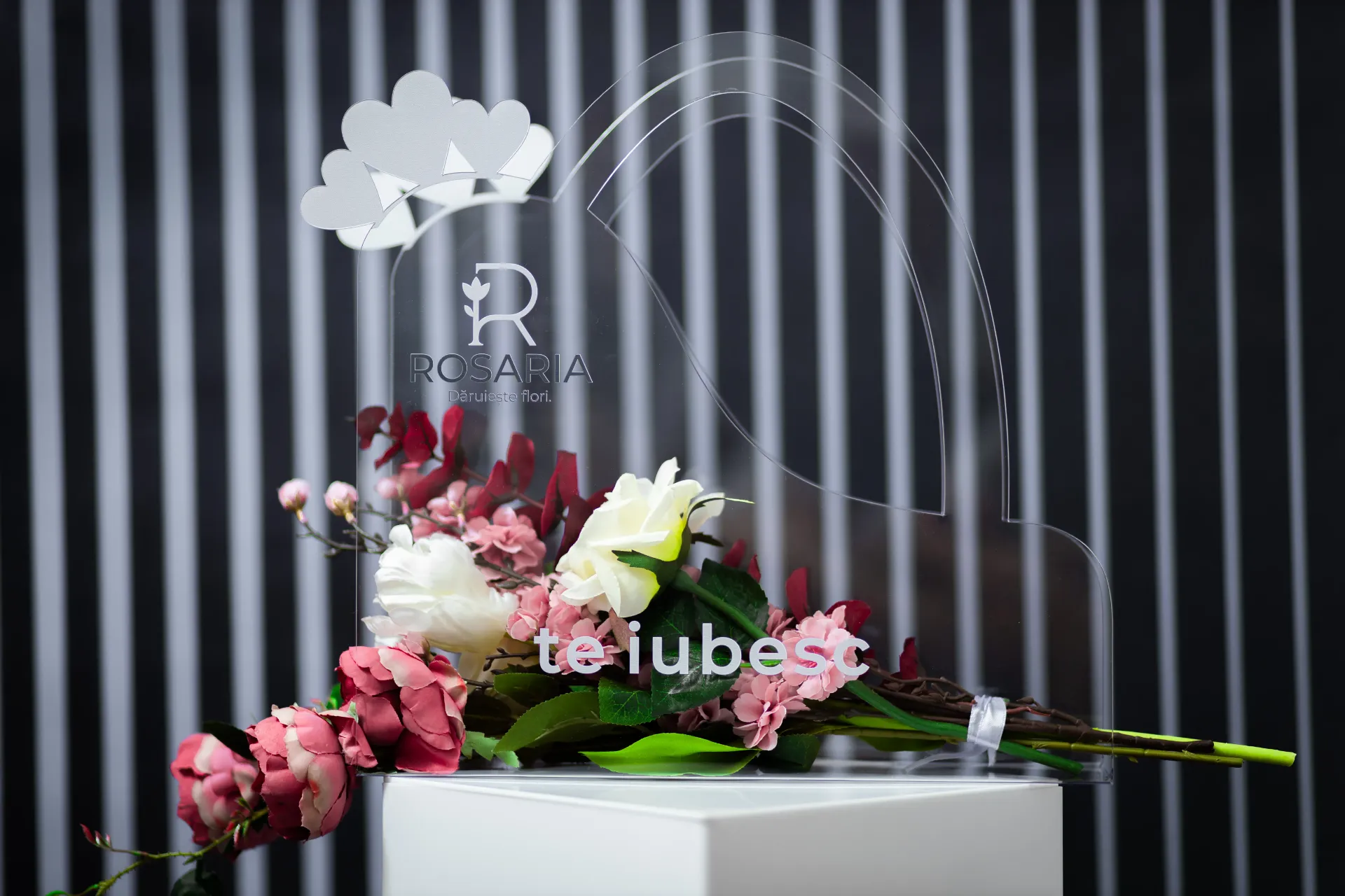 3D3A0108.webp